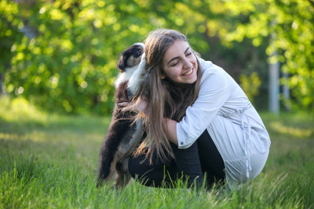 istock Cute australian shepherd puppy playing in the grass 1344811333