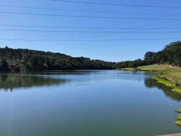 istock Lake view to the forest 1344812880