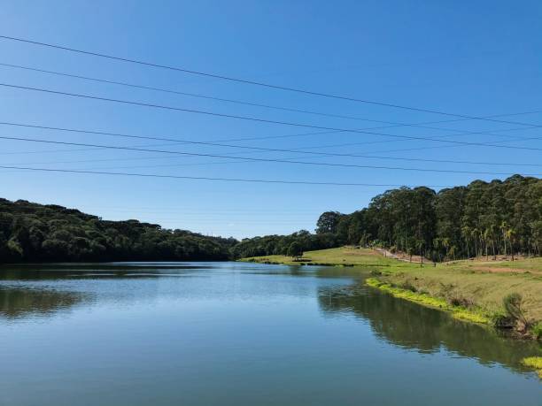 istock Lake view to the forest 1344812914