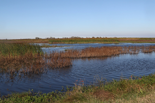 Wetland at Brazoria National Wildlife Refuge, Texas