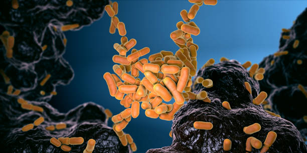 장과 대변에서 발견되는 노란색 색의 대장균 박테리아 - 3d 일러스트 - fecal coliform bacteria 뉴스 사진 이미지