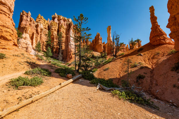 istock Queen Victoria's Garden in Bryce Canyon Ampitheater 1344813179