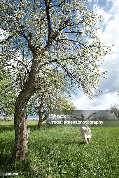 Mädchen Läuft Durch Einen Apfelgarten Stockfoto und mehr Bilder von Abschied - Abschied, Aktiver Lebensstil, Alles hinter sich lassen
