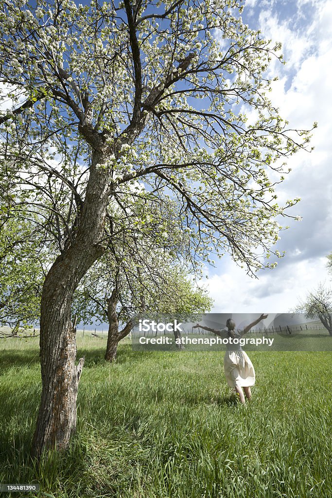 Menina a correr através de um Pomar de macieiras - Royalty-free Adolescente Foto de stock