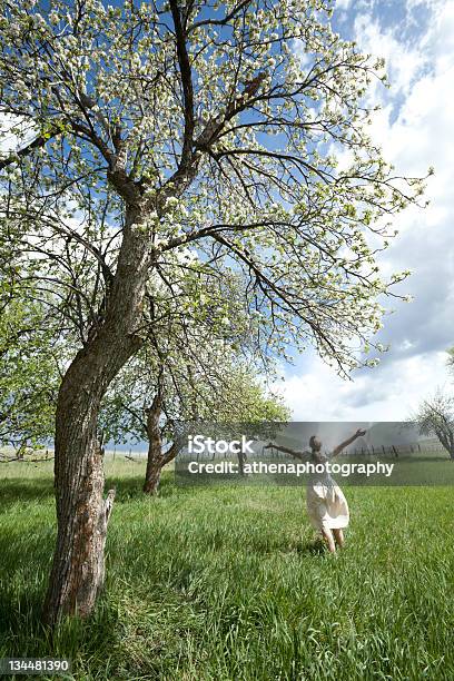 Menina A Correr Através De Um Pomar De Macieiras - Fotografias de stock e mais imagens de Adolescente - Adolescente, Adulto, Adulto de idade mediana