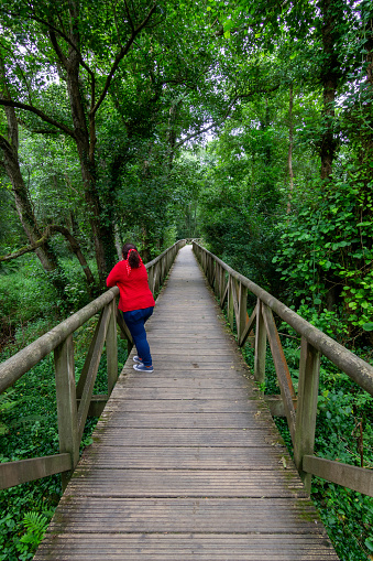 Woman in a red sweater enjoys the forest on a wooden walkway. Travel concept