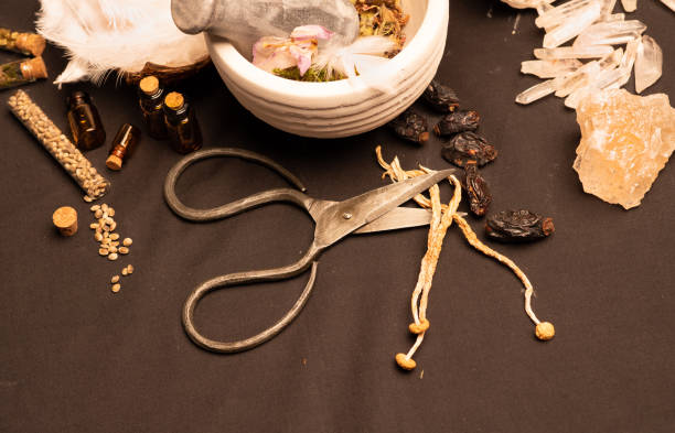 istock Table set focus at magic mushrooms. Psilocybin psychedelic mushrooms. Micro dosing trip concept. Psychedelic medicines microdosing of shrooms. Dry hallucinogenic Psilocybe cubensis. 1344818171