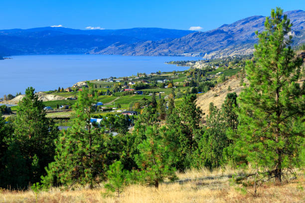 istock Naramata Bench Penticton Okanagan Lake 1344820613