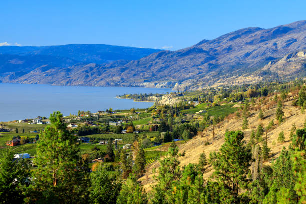 istock Naramata Bench Penticton Okanagan Lake 1344821016
