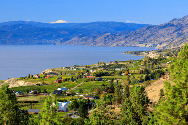 Naramata Bench Penticton Okanagan Lake
