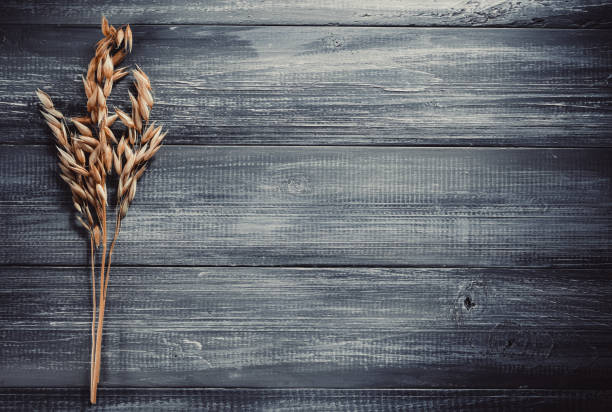 istock ears of oat at wood background table 1344823744