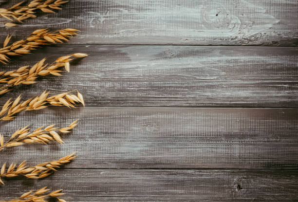 istock ears of oat at wood background table 1344823871