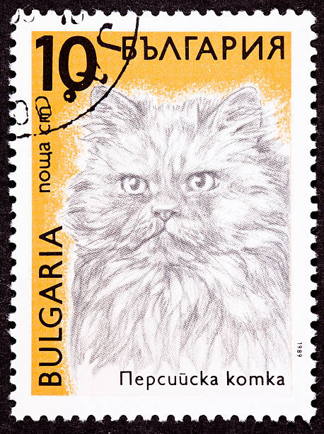 istock Canceled Bulgarian Postage Stamp Fuzzy Longhaired Persian Cat Breed 134482407