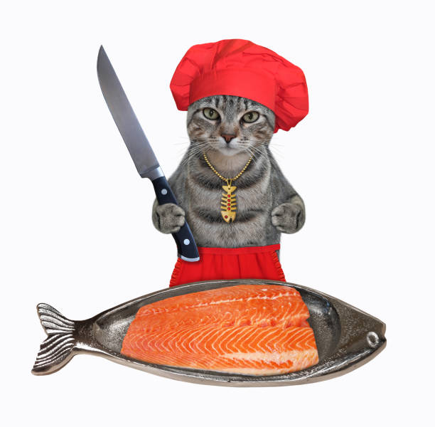istock Cat gray cutting salmon on fish shaped plate 1344828855
