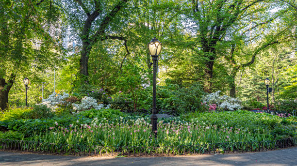 istock Central Park summer on the Mall 1344829431
