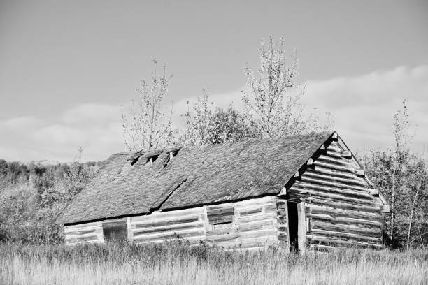 istock Old Rundown Farm House 1344830184