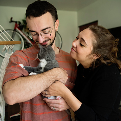 Portrait of millennial couple and newly adopted kitten finally at home. This is part of a series. Cute tuxedo grey and white three month male kitten. Square waist up indoors shot with copy space.