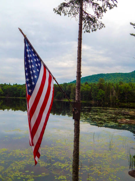 istock American flag hoisted on a tree with a lake in the background 1344831425