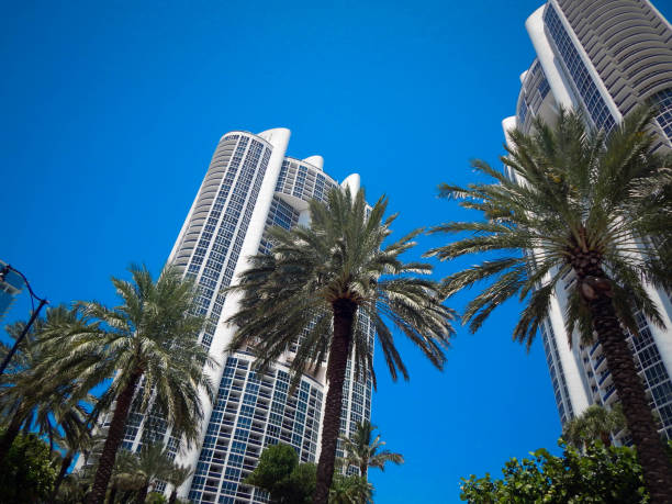istock Big tall moderns buildings and palm trees seen from below in Miami 1344831438