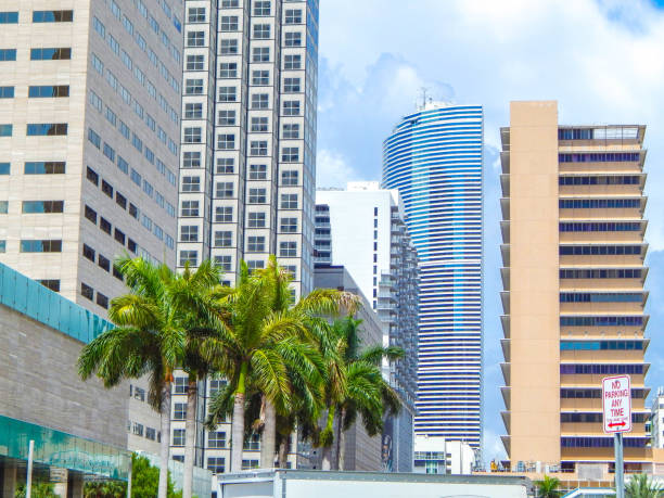 istock Buildings and palm trees in Miami 1344831467