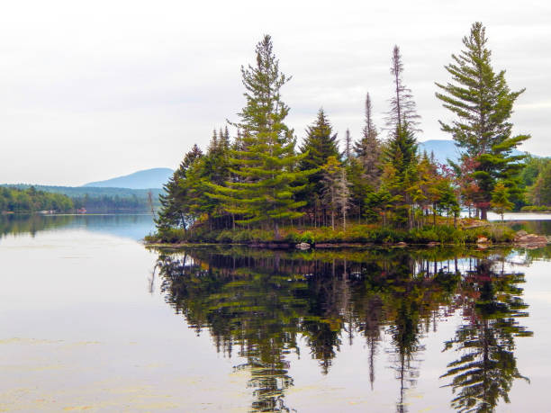 istock Small island in a lake with the trees reflected in the water 1344832056