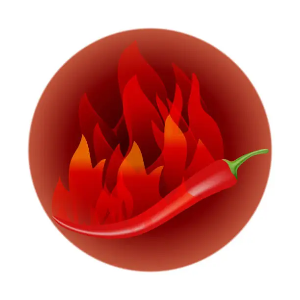 Vector illustration of Red hot chili peppers and hot fire in a circle, isolated
 on a white background. Realistic sign for restaurants and cafes