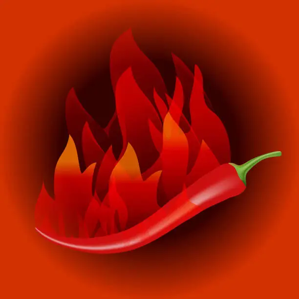 Vector illustration of Red hot chili peppers and hot fire in a circle, isolated
 on a white background. Realistic sign for restaurants and cafes