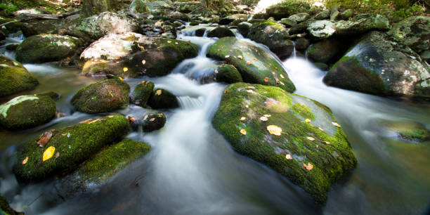 parco nazionale di shenandoah - hazel river trail - ca02 foto e immagini stock