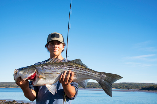 A teen fisher holds a large striped bass that he has just caught