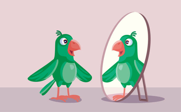 illustrazioni stock, clip art, cartoni animati e icone di tendenza di pappagallo divertente che si ammira allo specchio - smug