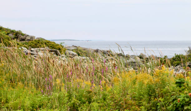 istock Peak's Island Maine 1344843604