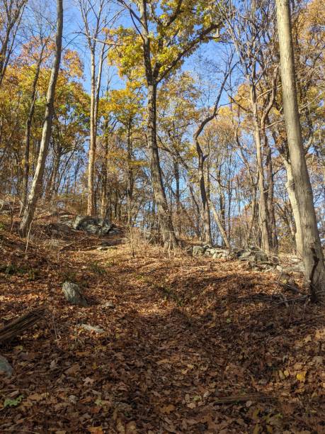 istock Appalachian Trail
Appalachian Trail 1344843715