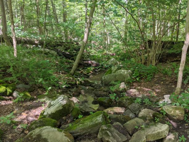 istock Appalachian Trail
Appalachian Trail 1344843717