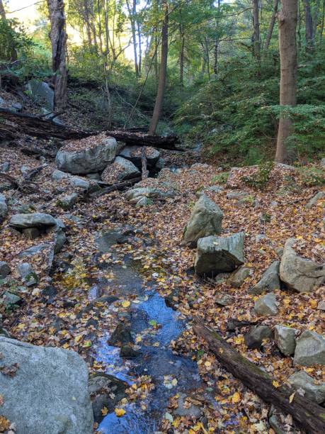 istock Appalachian Trail
Appalachian Trail 1344843744