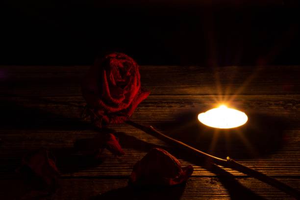 We remember we love we grieve
