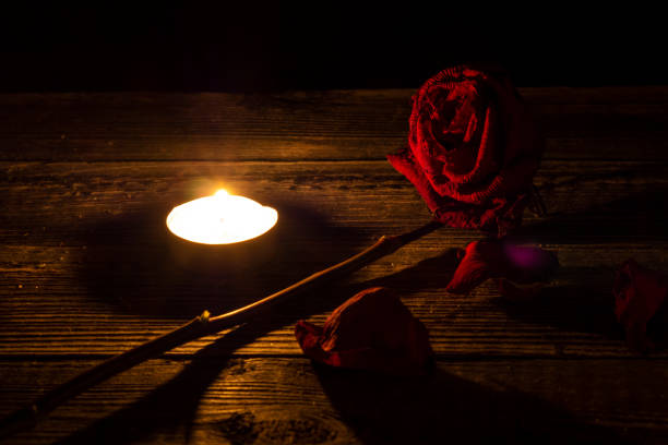 We remember we love we grieve