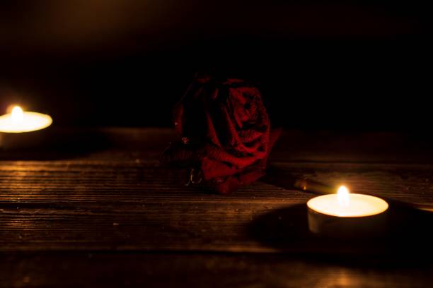We remember we love we grieve