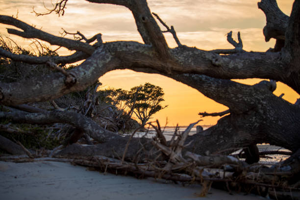 istock Sunset on Shackleford Banks 1344847556