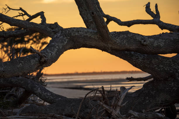 istock Sunset on Shackleford Banks 1344847558