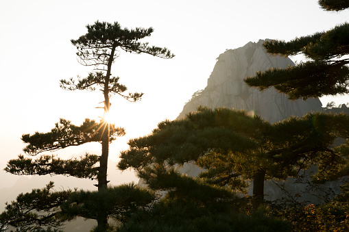 Bukhansan National Park, Dobongsan Seoul Korea 도봉산 다락능선 포대능선 망월사 신선대 자운봉 만장봉 선인봉