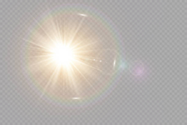 ilustraciones, imágenes clip art, dibujos animados e iconos de stock de vector transparente luz solar especial efecto de luz de destello de lente. - lens flare