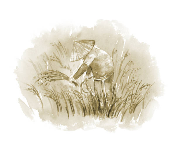 Sepia colored illustration of rice harvesting