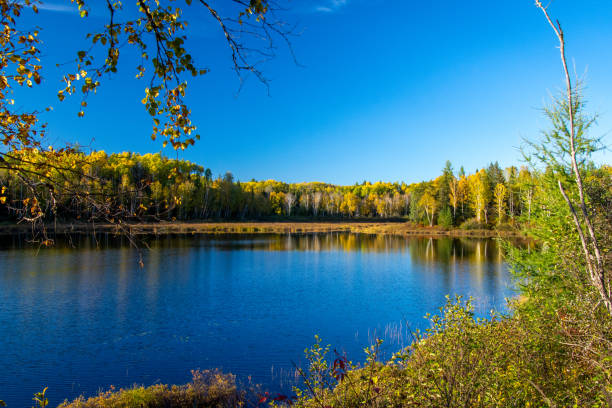 istock Fall colors in Canadian forest with little lake 1344856390