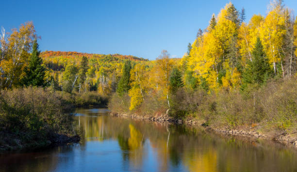 istock Fall colors in Canadian forest with little lake 1344856928