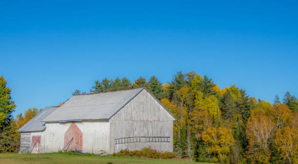 istock Fall colors in the Canadian countryside 1344857303