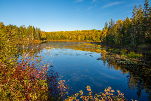 istock Fall colors in Canadian forest with little lake 1344857356