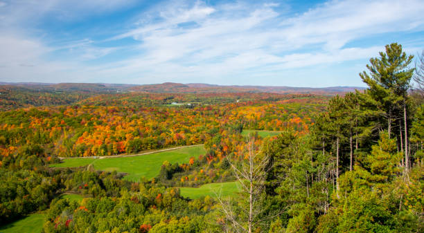 istock Fall colors in theCanadian forest 1344857989