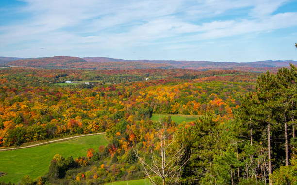 istock Fall colors in theCanadian forest 1344857990