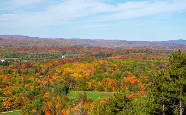 istock Fall colors in theCanadian forest 1344857993