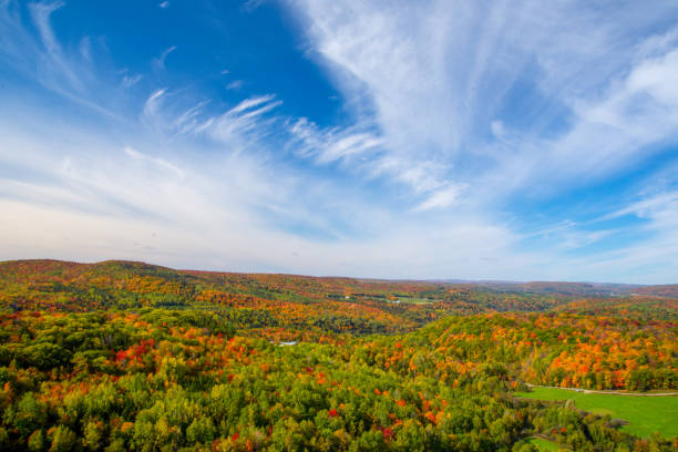 istock Fall colors in theCanadian forest 1344858003